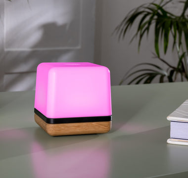 Creating a Healthy and Productive Workspace