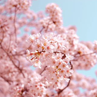 Spring Reboot: Small Habits, Big Impact