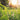 Spring Reboot: The Perfect Time for a Fresh Start