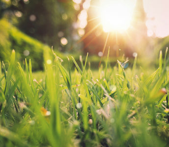 Spring Reboot: The Perfect Time for a Fresh Start