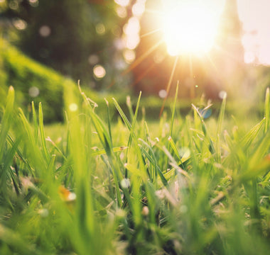 Spring Reboot: The Perfect Time for a Fresh Start