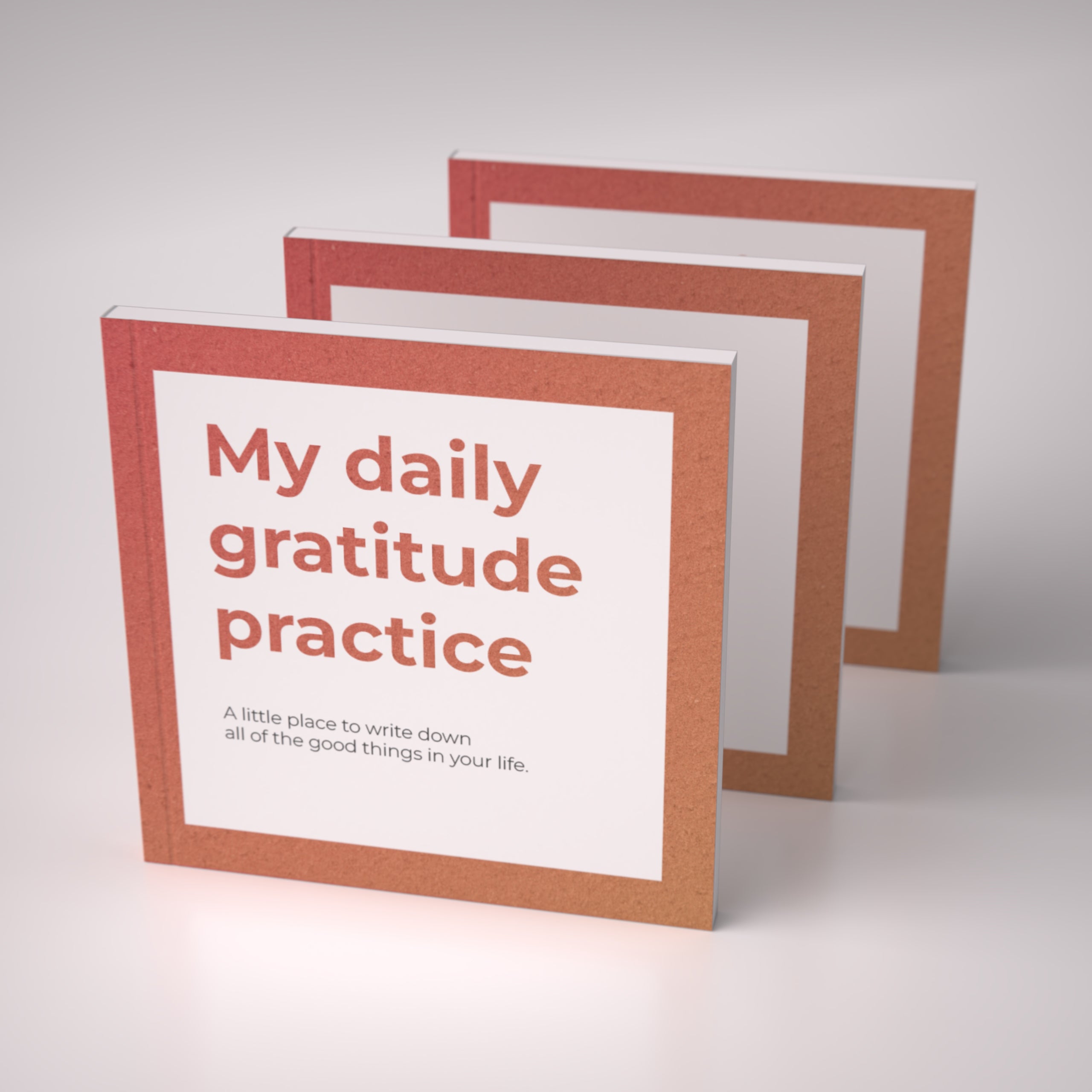 My Daily Gratitude Practice (3 Pack)